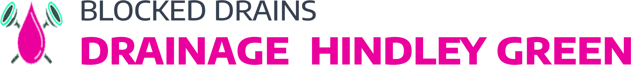 website logo